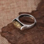 Bague méditative à roulement tibétain unique
