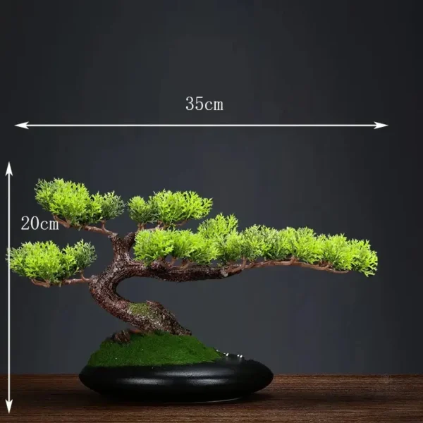Bonsaï Haut de Gamme pour Ambiance Zen