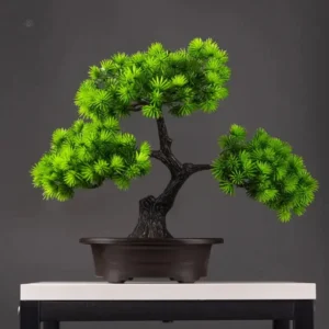 Bonsai pin Tanha décoratif pour intérieur