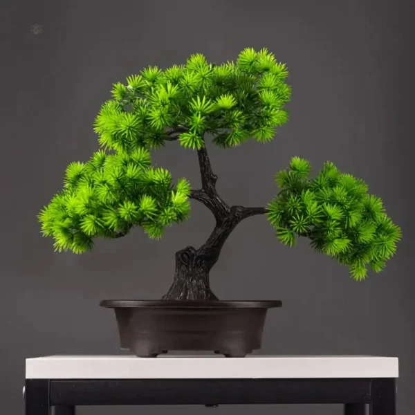 Bonsai pin Tanha décoratif pour intérieur
