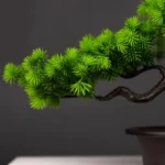 Bonsai artificiel en pin, allure naturelle