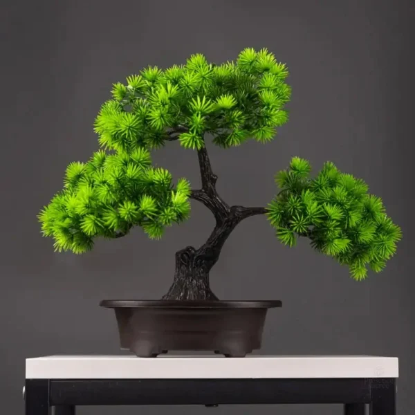 Bonsai Pin Wolong en décoration intérieure
