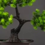 Bonsai Pin Wolong, touche naturelle sans entretien