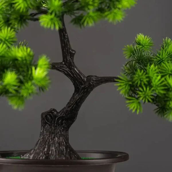 Bonsai Pin Wolong, touche naturelle sans entretien