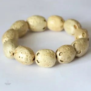Graine de Bodhi, bracelet spirituel tibétain pour méditation et équilibre
