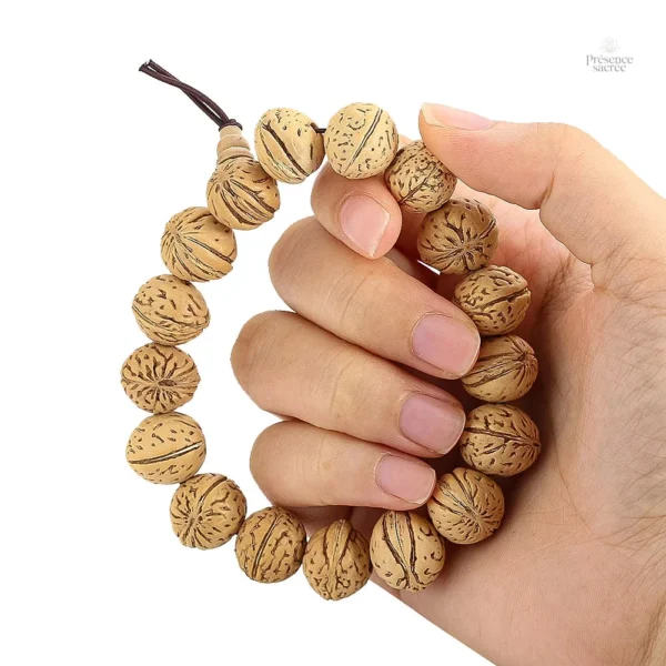 Mala en noix de montagne pour la méditation