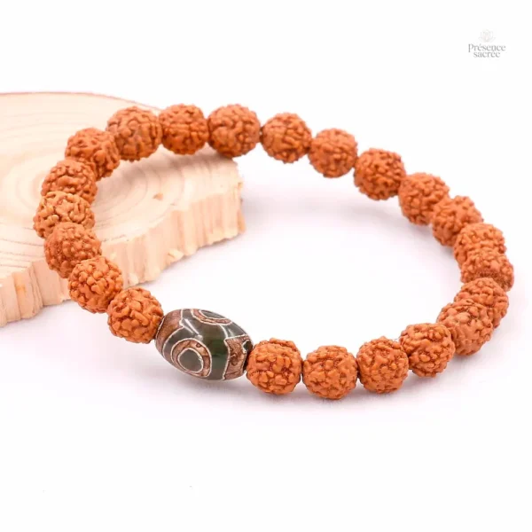 Bracelet spirituel en perles Rudraksha et Dzi tibétain
