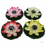 Fleur de Lotus, accent calmant pour la déco intérieure