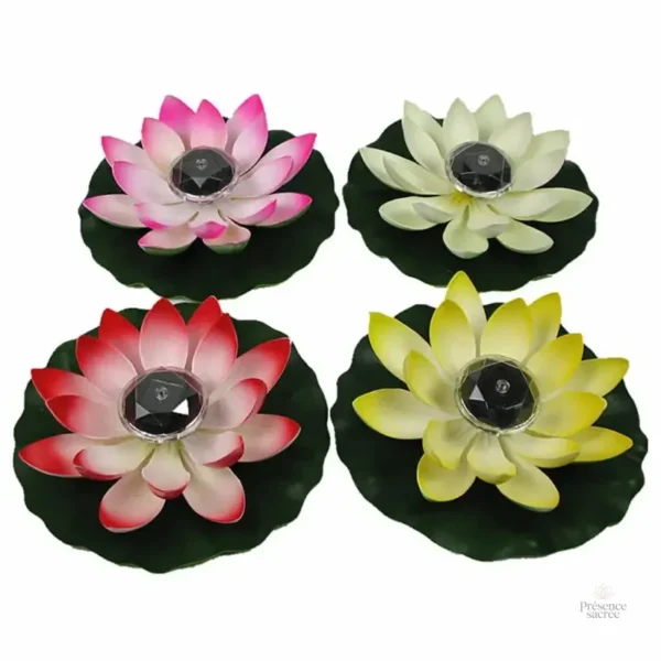Fleur de Lotus, accent calmant pour la déco intérieure
