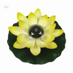 Lotus Solaire, symbole de paix et harmonie