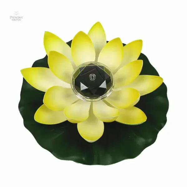 Lotus Solaire, symbole de paix et harmonie