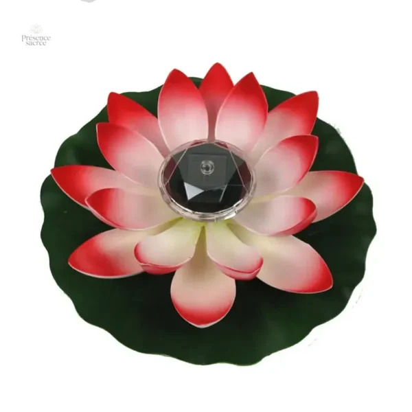 Déco Zen fleur de lotus pour intérieur apaisant