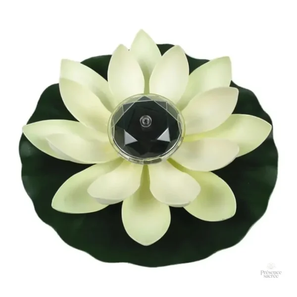 Élégante Fleur de Lotus en déco méditative