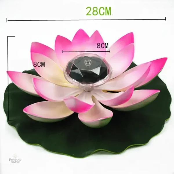 Art de la décoration avec Fleur de Lotus Solaire