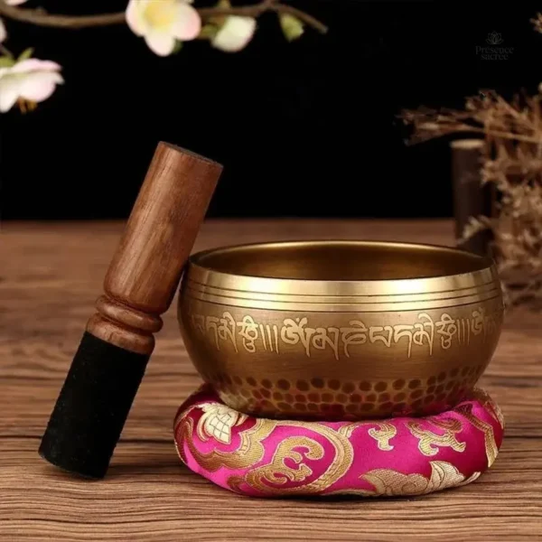 Expérience de son avec le grand bol tibétain