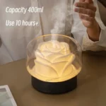Diffuseur décoratif avec fonction humidification