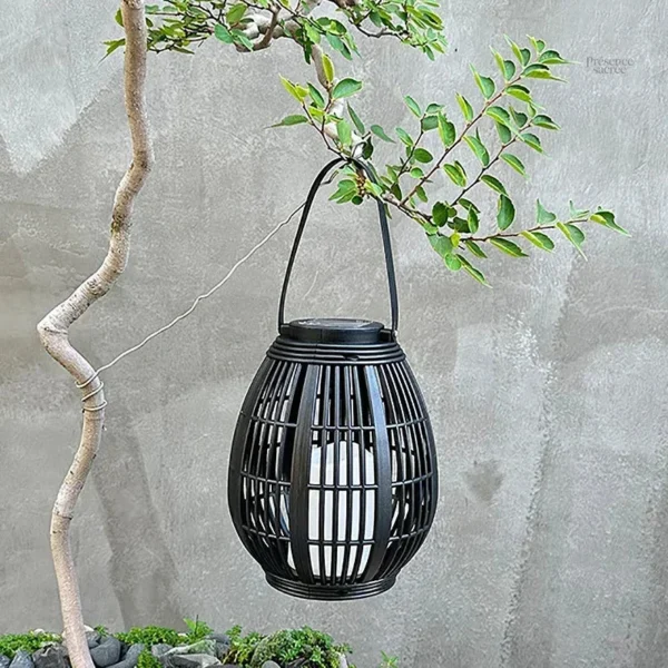 Éclairage solaire décoratif pour espaces extérieurs