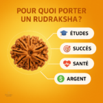 Bracelet Mala en graines de Rudraksha, élégance naturelle