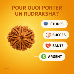Bracelet Mala en graines de Rudraksha, élégance naturelle
