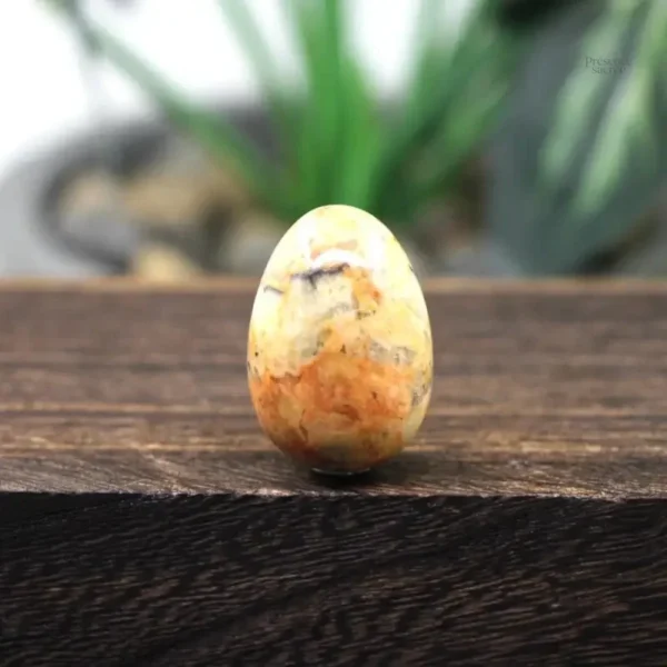 Oeuf de Yoni en Agate Folle, pierre de bien-être