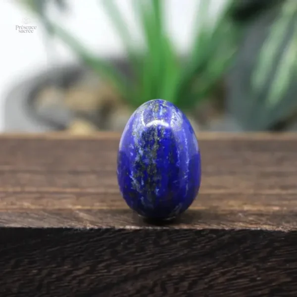 Oeuf de Yoni en Lapis Lazuli naturel