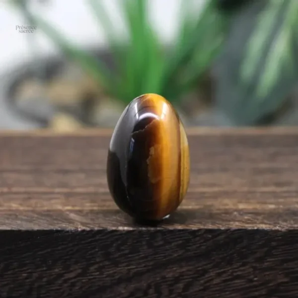 Oeuf de Yoni Oeil de tigre en pierre naturelle