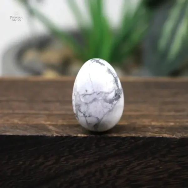 Oeuf de yoni turquoise blanc, outil de bien-être féminin