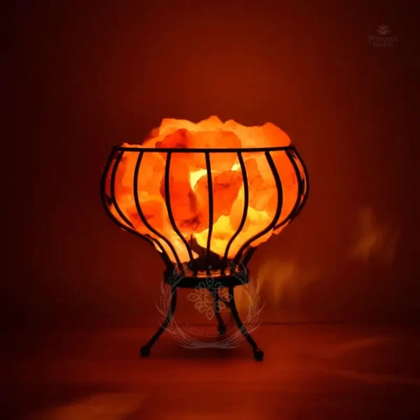 Panier de lampe de sel de l'Himalaya