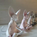 Chat Sphinx, symbole de paix pour la décoration intérieure