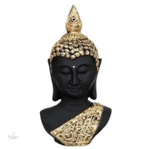 Tête de Bouddha noir, symbole de paix intérieure