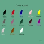 Stickers apaisants pour enrichir votre pratique